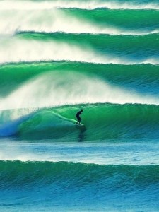 study surfing australia